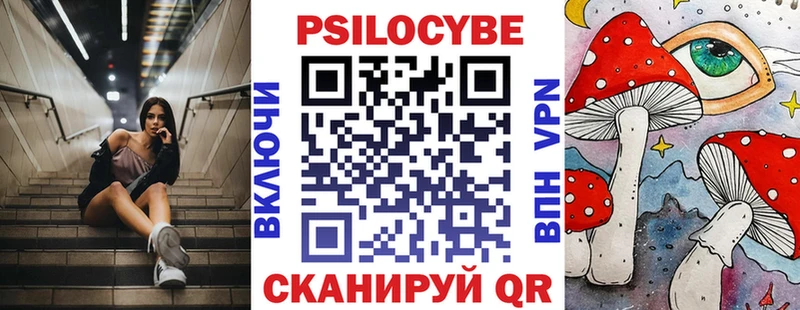 хочу   Подпорожье  Псилоцибиновые грибы Cubensis 